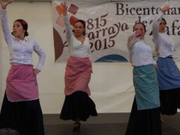 Bicentenario 2011