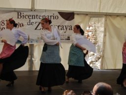 Bicentenario 2011