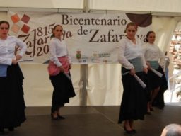 Bicentenario 2011